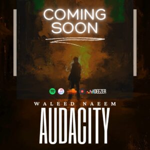 Audacity (8)