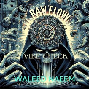 Vibe Check Download - Album Raw Flow - by Waleed Naeem