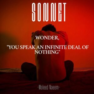 Wonder, "You Speak An Infinite Deal Of Nothing" Download - Album Sonnet - by Waleed Naeem