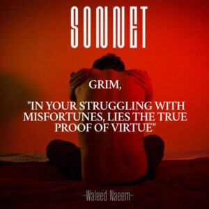 Grim, "In Your Struggling With Misfortunes, Lies The True Proof Of Virtue" Download - Album Sonnet - by Waleed Naeem