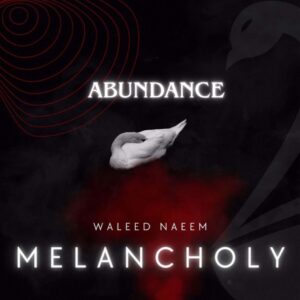 Abundance Download - Album Melancholy - by Waleed Naeem
