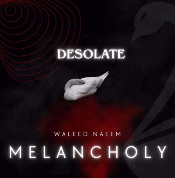 Desolate Download - Album Melancholy - by Waleed Naeem