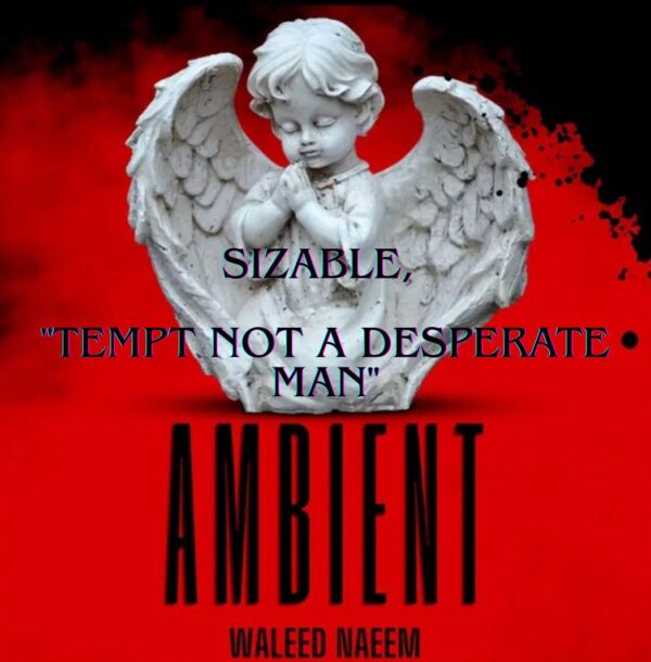 Sizable, "Tempt not a desperate Man" Download - Album Ambient - by Waleed Naeem