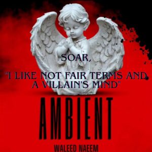 Soar, "I like not fair terms and a villain's mind" Download - Album Ambient - by Waleed Naeem