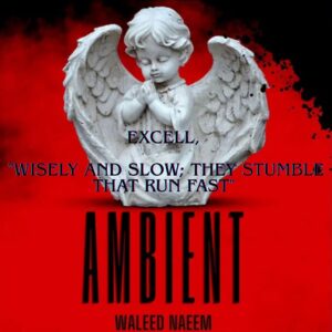 Excell, "Wisely and slow; They stumble that run fast" Download - Album Ambient - by Waleed Naeem