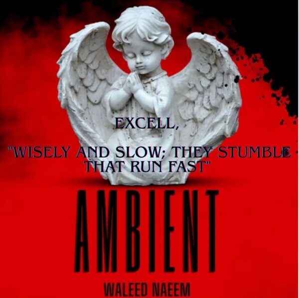 Excell, "Wisely and slow; They stumble that run fast" Download - Album Ambient - by Waleed Naeem