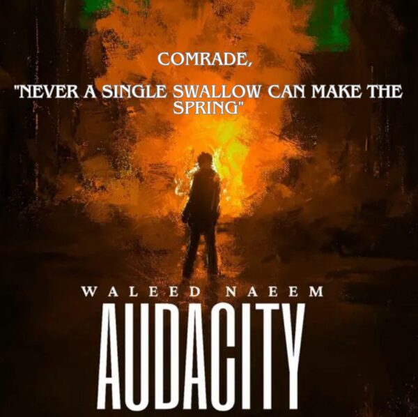 Comrade, "Never a single swallow can make the spring" Download - Album Audacity - by Waleed Naeem