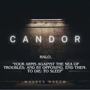 Halo, "your arms against the sea of troubles; and by opposing, end them. to die: to sleep" Download - Album Candor - by Waleed Naeem