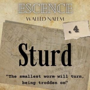 Sturd, "The smallest worm will turn, being trodden on" Download - Album Escence - by Waleed Naeem