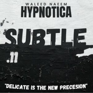 Subtle, "delicate is the new precision" Download - Album Hypnotica - by Waleed Naeem