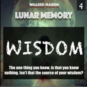 Wisdom: the one thing you know, is that you know nothing. isn't that the source of your wisdom? Download - Album Lunar Memory - by Waleed Naeem